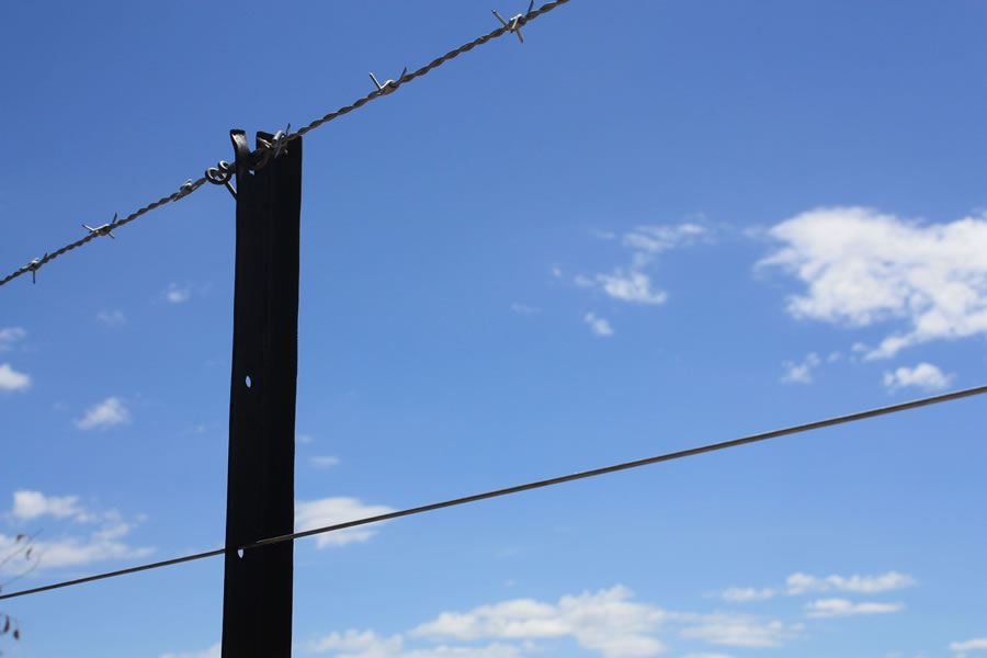Barb fence Web